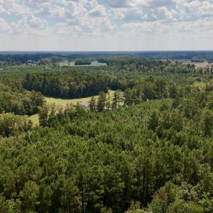 Photo #5 of Off Bessie Ln, Lumberton, NC 4.2 acres