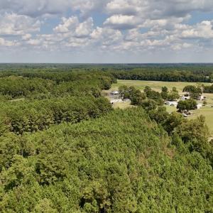 Photo #8 of Off Bessie Ln, Lumberton, NC 4.2 acres
