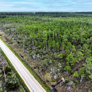 Photo #1 of Off Middle Bay Road, Hobucken, NC 12.0 acres