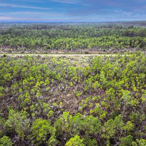 Photo #3 of Off Middle Bay Road, Hobucken, NC 12.0 acres