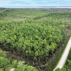 Photo #5 of Off Middle Bay Road, Hobucken, NC 12.0 acres