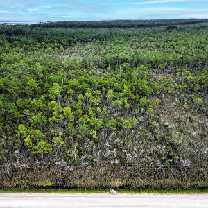 Photo #6 of Off Middle Bay Road, Hobucken, NC 12.0 acres