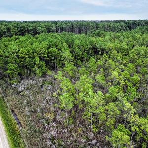 Photo #7 of Off Middle Bay Road, Hobucken, NC 12.0 acres