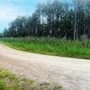 Photo #11 of Off Middle Bay Road, Hobucken, NC 12.0 acres