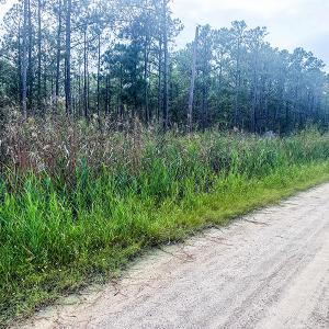 Photo #12 of Off Middle Bay Road, Hobucken, NC 12.0 acres