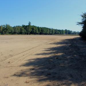 Photo #1 of Off Dew RD, Temperance Hill, SC 17.3 acres