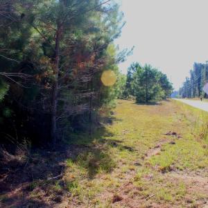 Photo #2 of Off Dew RD, Temperance Hill, SC 17.3 acres
