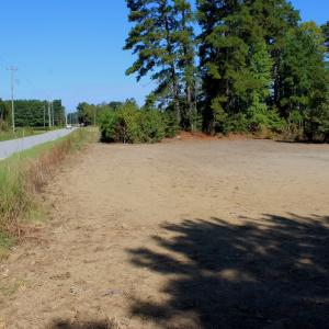 Photo #3 of Off Dew RD, Temperance Hill, SC 17.3 acres
