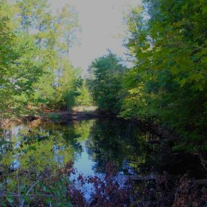 Photo #4 of Off Dew RD, Temperance Hill, SC 17.3 acres