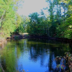 Photo #5 of Off Dew RD, Temperance Hill, SC 17.3 acres