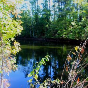 Photo #6 of Off Dew RD, Temperance Hill, SC 17.3 acres