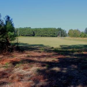 Photo #8 of Off Dew RD, Temperance Hill, SC 17.3 acres
