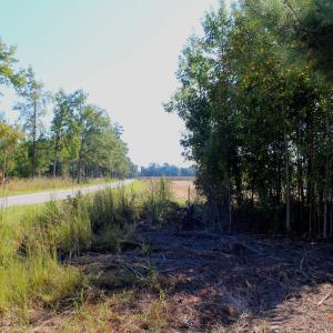 Photo #9 of Off Dew RD, Temperance Hill, SC 17.3 acres