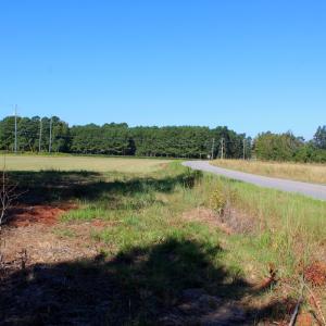 Photo #10 of Off Dew RD, Temperance Hill, SC 17.3 acres