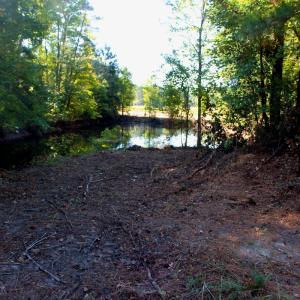 Photo #11 of Off Dew RD, Temperance Hill, SC 17.3 acres