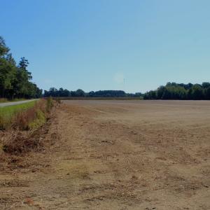 Photo #12 of Off Dew RD, Temperance Hill, SC 17.3 acres