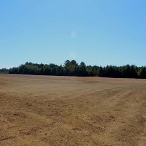 Photo #13 of Off Dew RD, Temperance Hill, SC 17.3 acres