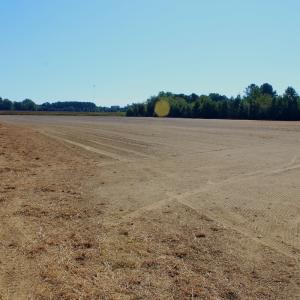 Photo #16 of Off Dew RD, Temperance Hill, SC 17.3 acres