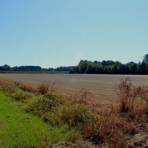 Photo #18 of Off Dew RD, Temperance Hill, SC 17.3 acres