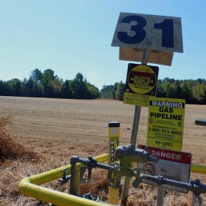 Photo #20 of Off Dew RD, Temperance Hill, SC 17.3 acres