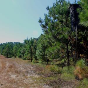 Photo #22 of Off Dew RD, Temperance Hill, SC 17.3 acres