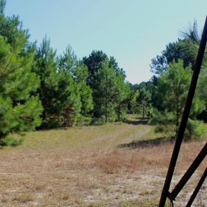 Photo #23 of Off Dew RD, Temperance Hill, SC 17.3 acres