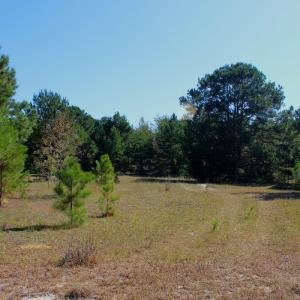 Photo #25 of Off Dew RD, Temperance Hill, SC 17.3 acres