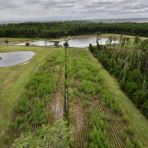 Photo #63 of 811 US Hwy 70, Davis, NC 14.7 acres