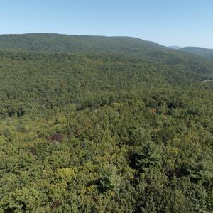 Photo #12 of Off Craig Woods Rd, New Castle, VA 2.8 acres