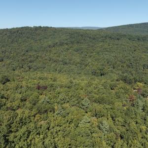 Photo #13 of Off Craig Woods Rd, New Castle, VA 2.8 acres