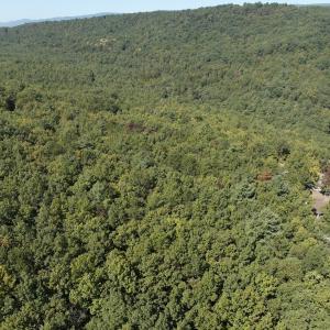 Photo #15 of Off Craig Woods Rd, New Castle, VA 2.8 acres