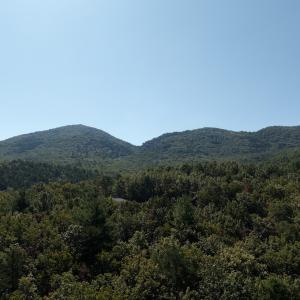 Photo #2 of Off Craig Woods Rd, New Castle, VA 2.8 acres
