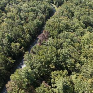 Photo #4 of Off Craig Woods Rd, New Castle, VA 2.8 acres