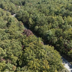 Photo #5 of Off Craig Woods Rd, New Castle, VA 2.8 acres