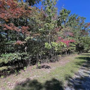 Photo #7 of Off Craig Woods Rd, New Castle, VA 2.8 acres