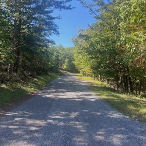 Photo #8 of Off Craig Woods Rd, New Castle, VA 2.8 acres