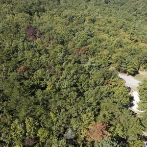 Photo #9 of Off Craig Woods Rd, New Castle, VA 2.8 acres