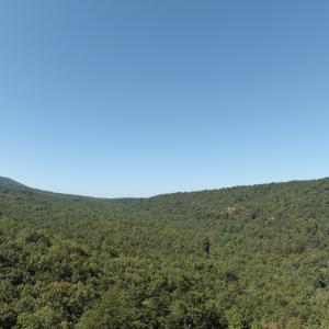Photo #17 of Off Craig Woods Rd, New Castle, VA 2.8 acres