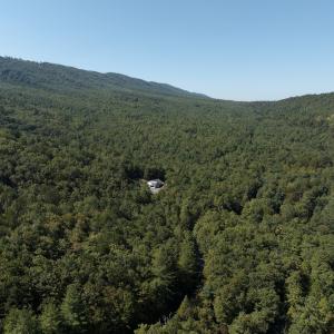 Photo #32 of Off Craig Woods Rd, New Castle, VA 2.8 acres