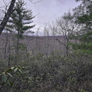 Photo #34 of Off Craig Woods Rd, New Castle, VA 2.8 acres