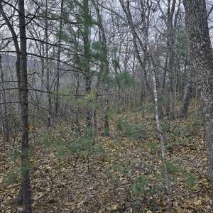 Photo #35 of Off Craig Woods Rd, New Castle, VA 2.8 acres