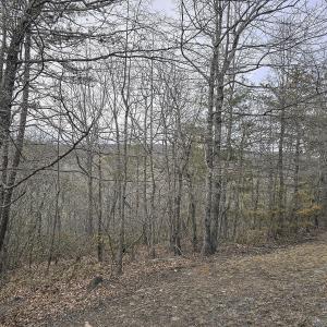 Photo #37 of Off Craig Woods Rd, New Castle, VA 2.8 acres