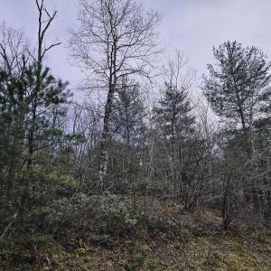 Photo #46 of Off Craig Woods Rd, New Castle, VA 2.8 acres