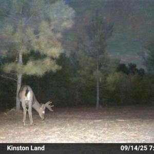 Photo #40 of Off Institute Road, Kinston, NC 35.0 acres