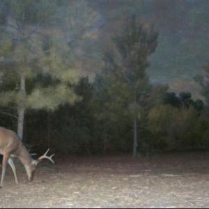Photo #42 of Off Institute Road, Kinston, NC 35.0 acres