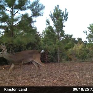 Photo #41 of Off Institute Road, Kinston, NC 35.0 acres