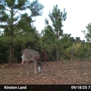 Photo #39 of Off Institute Road, Kinston, NC 35.0 acres