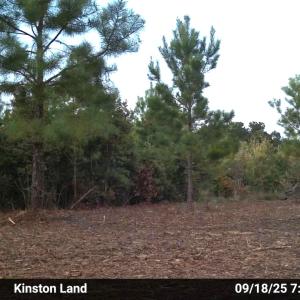 Photo #43 of Off Institute Road, Kinston, NC 35.0 acres