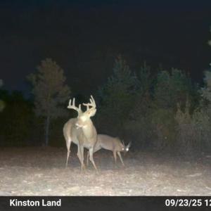 Photo #38 of Off Institute Road, Kinston, NC 35.0 acres