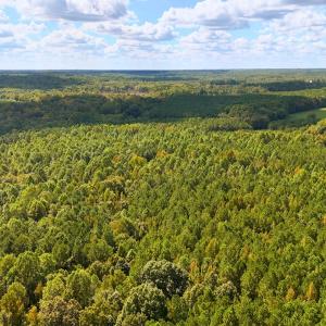 Photo #10 of Off of Bissette Rd, Middlesex, NC 24.5 acres